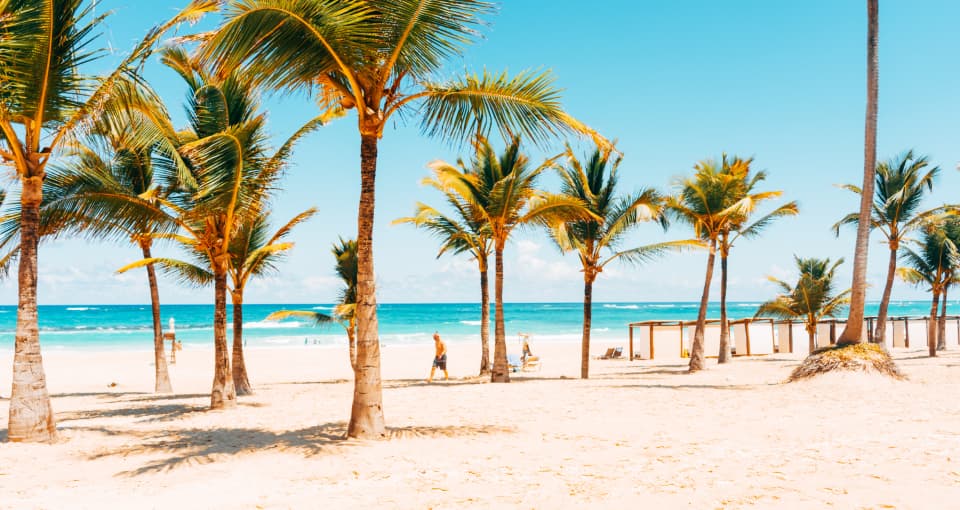 South Florida beach with palm trees