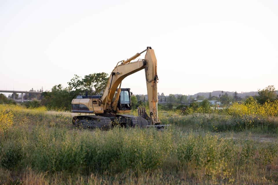 Site Development